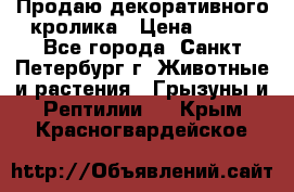 Продаю декоративного кролика › Цена ­ 500 - Все города, Санкт-Петербург г. Животные и растения » Грызуны и Рептилии   . Крым,Красногвардейское